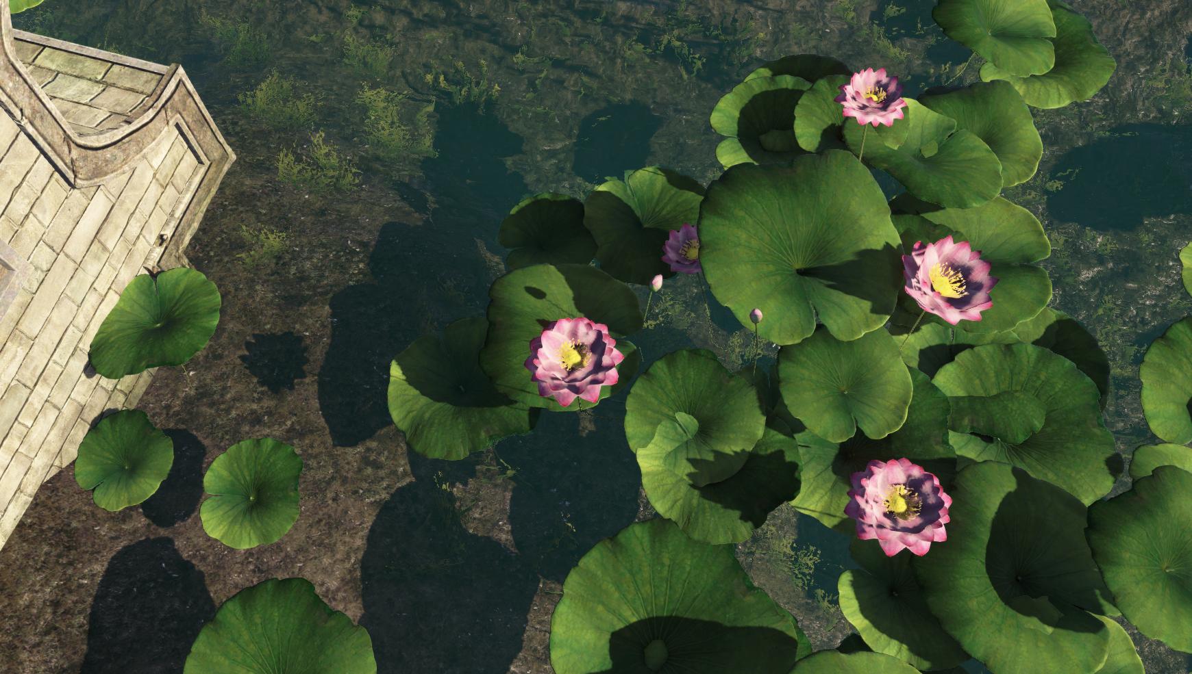 天刀现在推荐新人入坑吗,天刀萌新去哪个区