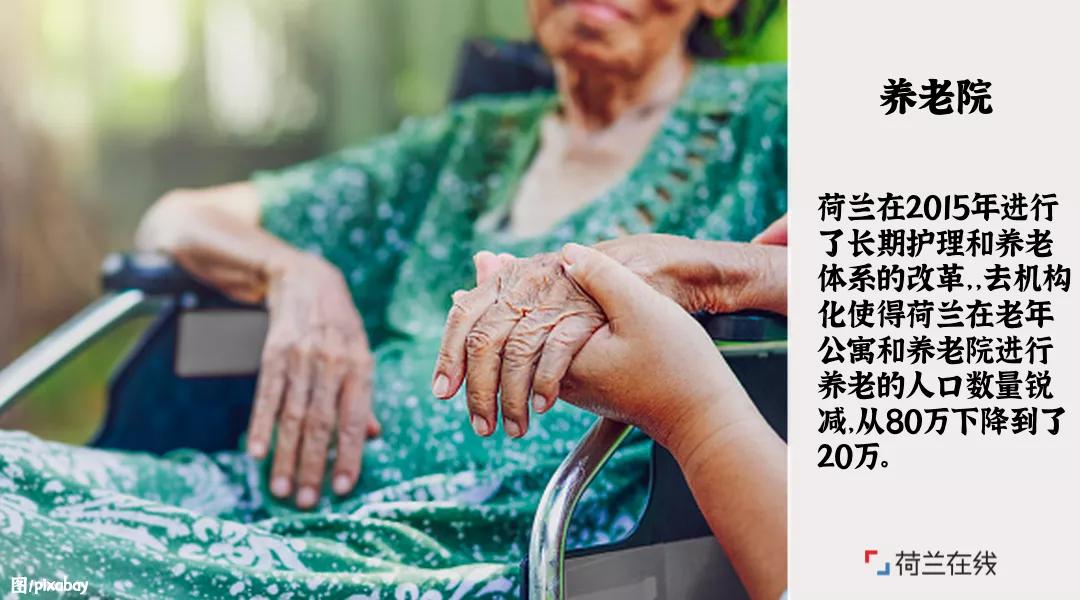 荷兰的郁金香风车牧场和运河,荷兰郁金香风车美景