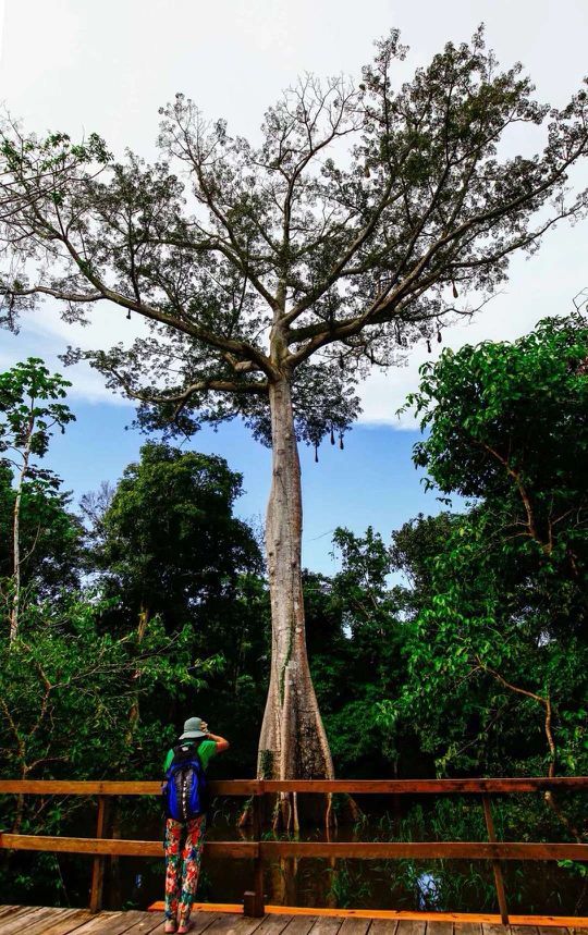 南美之旅总结篇,南美之行结束感悟