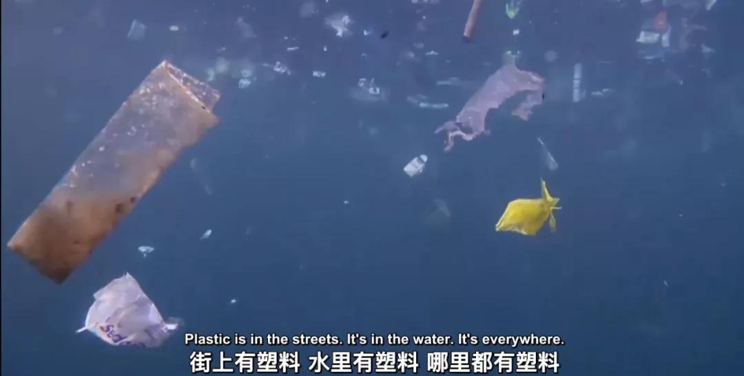 美国售假,美国制造假货的代价