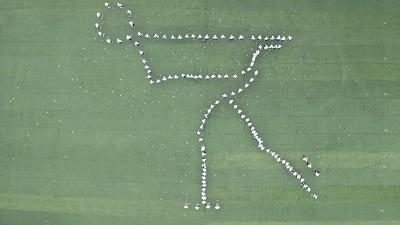 点赞会动的图片,会动的点赞图