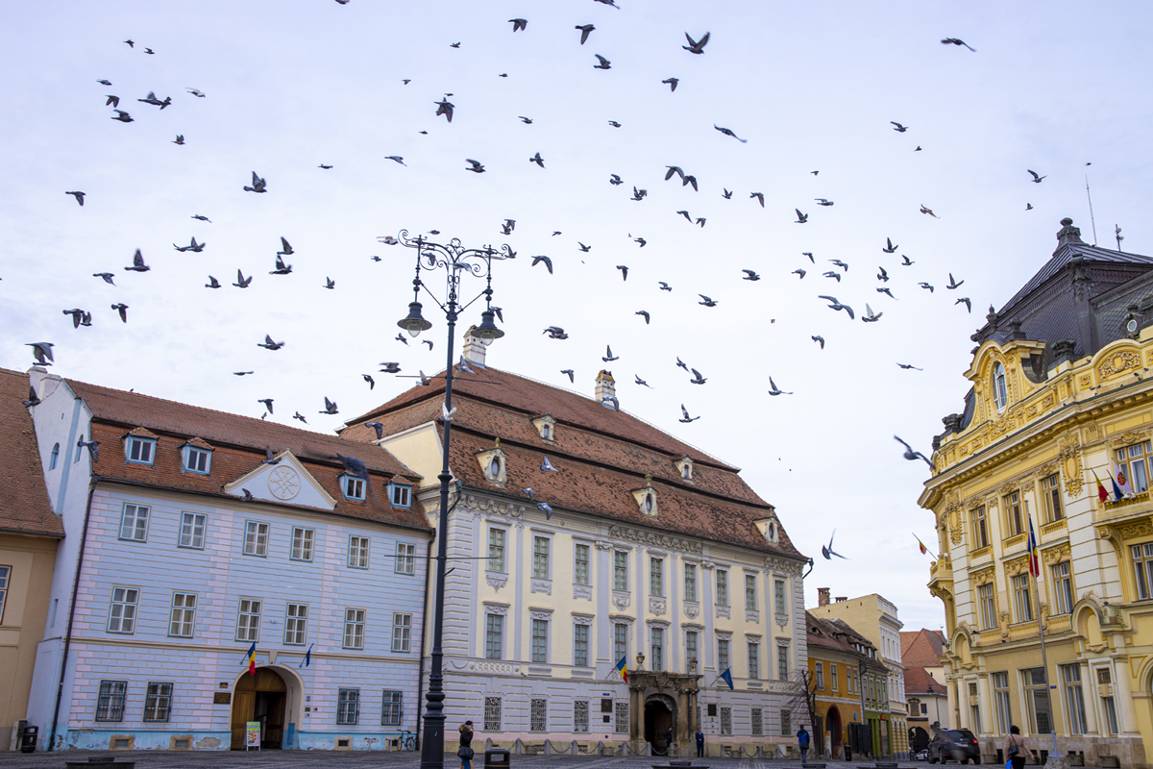eosr视频高速对焦,eosr对焦测评