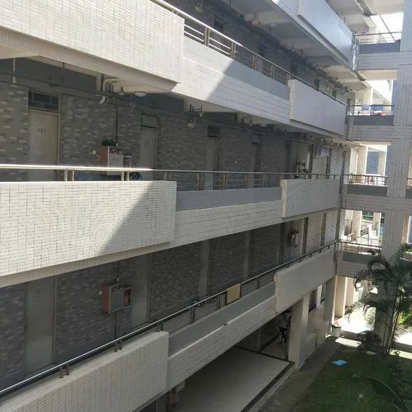 广东高职高考看院校,广东南华工商职业学院2024招生