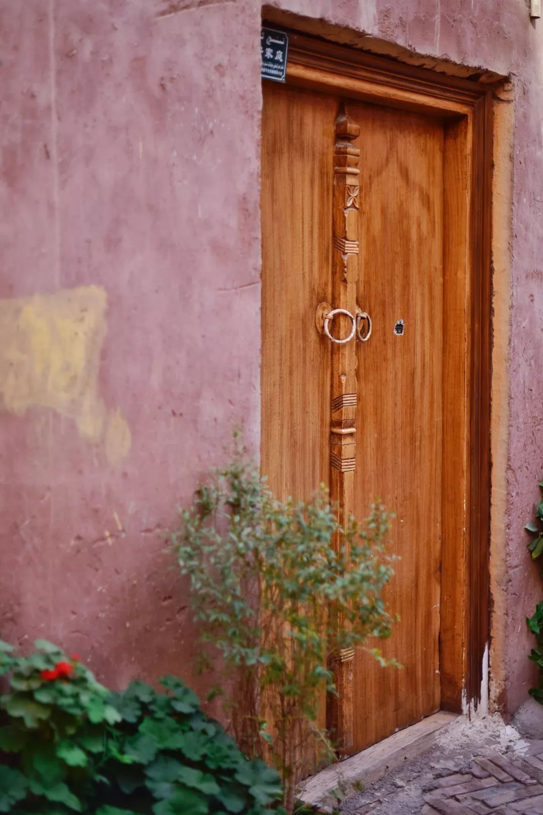 新疆炫富方式是什么,新疆喀什好种的花