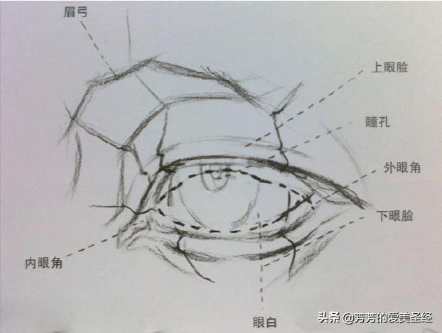 眼睛变大的方法用五天,眼睛变大有方法吗