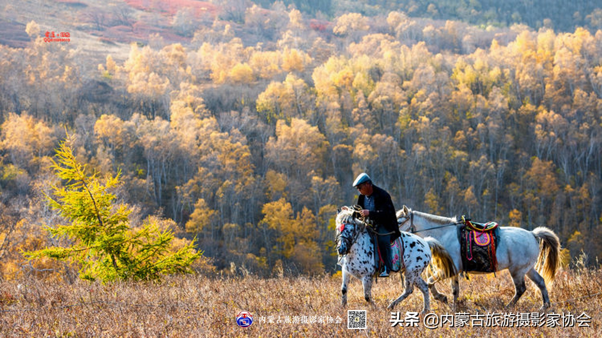 那山那水那味道,那山那水那份爱