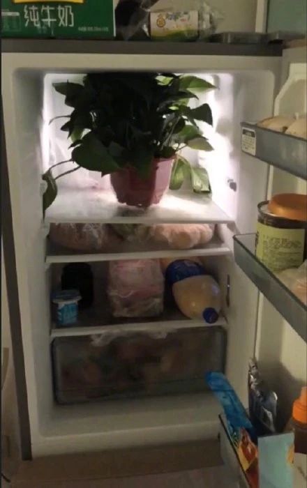 张铭恩对徐璐说没有心动过完整版,张铭恩徐璐互怼完整版