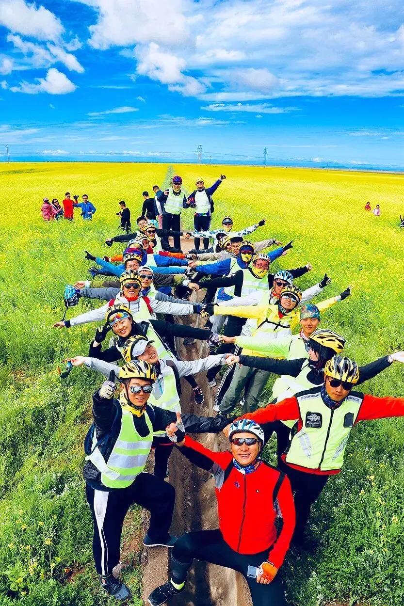 赏油菜花攻略,寻找最美油菜花可去这十大景点