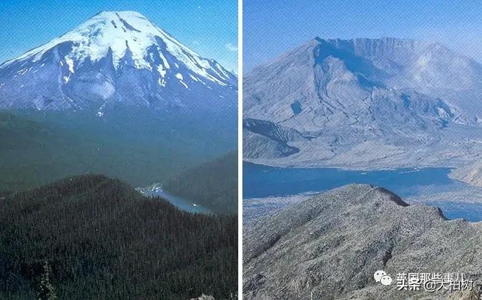 蓝鲸到底有多大,直观感受蓝鲸有多大