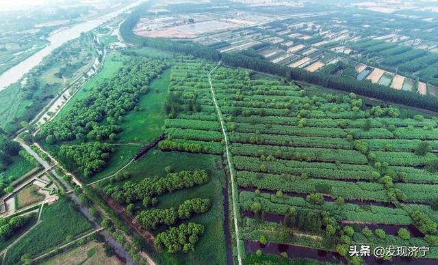 济宁十大名湖,济宁最大的湖泊