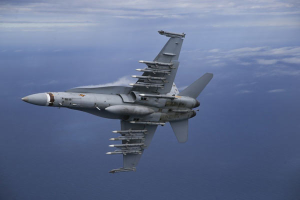 f18大黄蜂战斗机,f-a18e超级大黄蜂战斗机