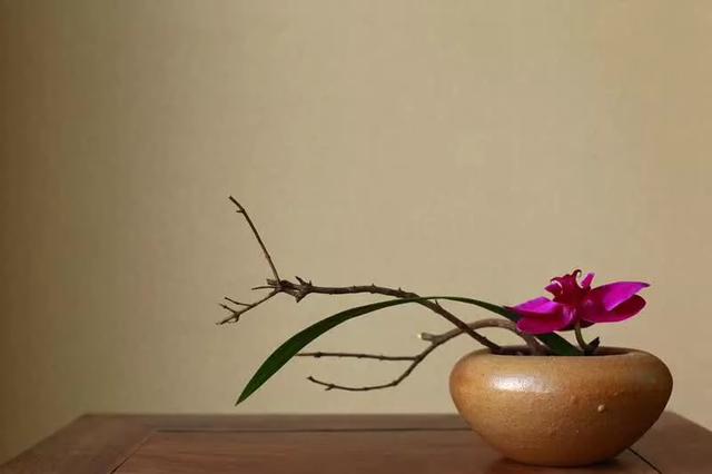 比自律更好的词,比自律更重要的结构力