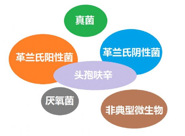 看图“话”抗菌谱，赶紧收藏