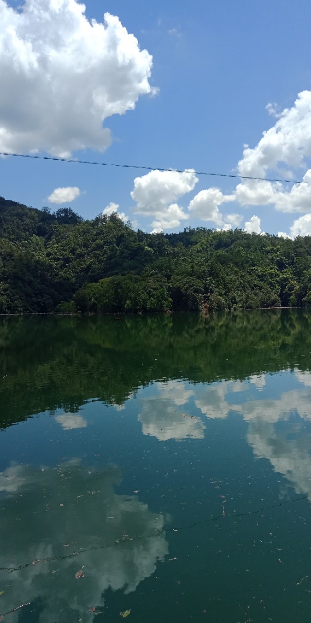 九州文学南京诗社作品,九州文学社作品