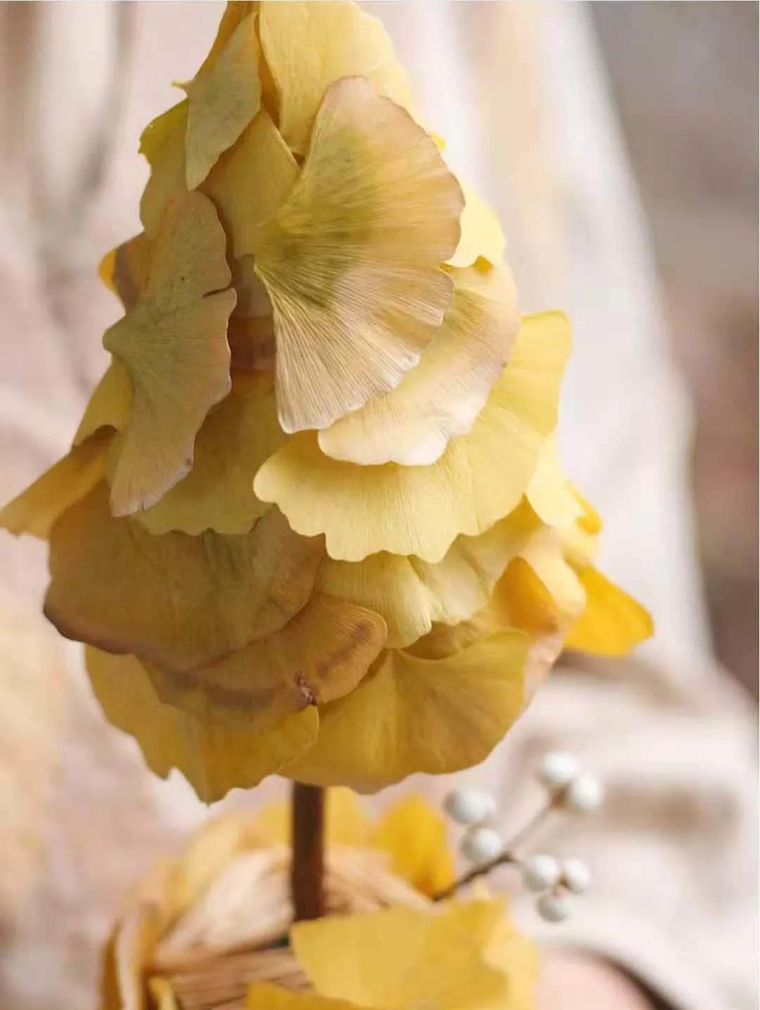 银杏树叶如何做玫瑰花,银杏叶如何制作玫瑰花