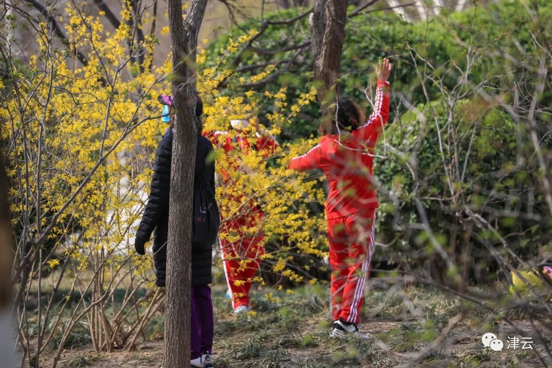 天津东疆港亲海公园今天开放吗,天津即将完工的公园