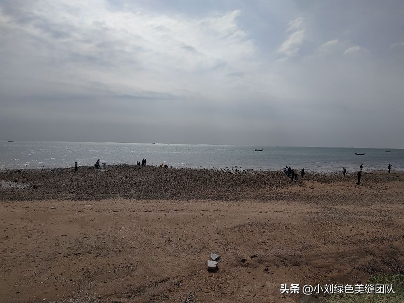 五一来北戴河赶海,五一去营口赶海