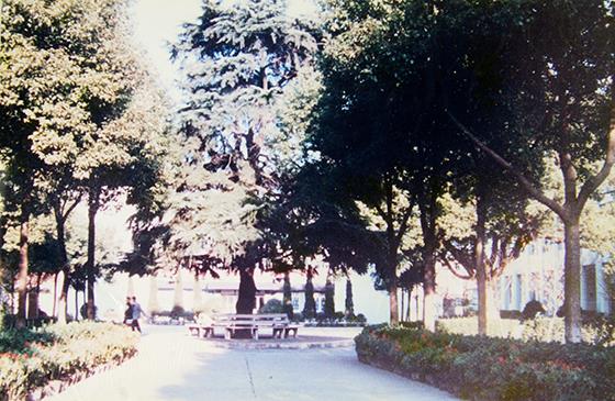 常熟记忆之：雪松之下——校友眼中“省中”的前世今生