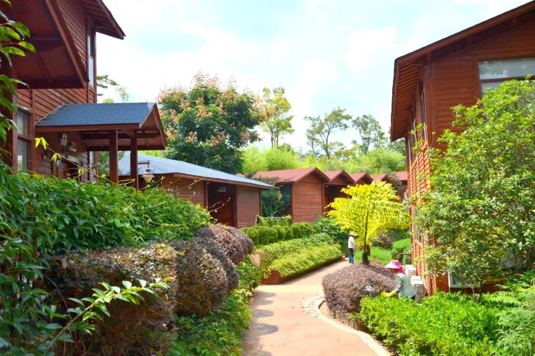 昆明周边亲子游自驾游攻略,五一周边短途自驾游昆明