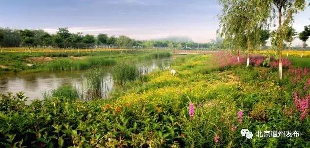 北京东五环新建公园大全,北京新开40个公园详细位置公布