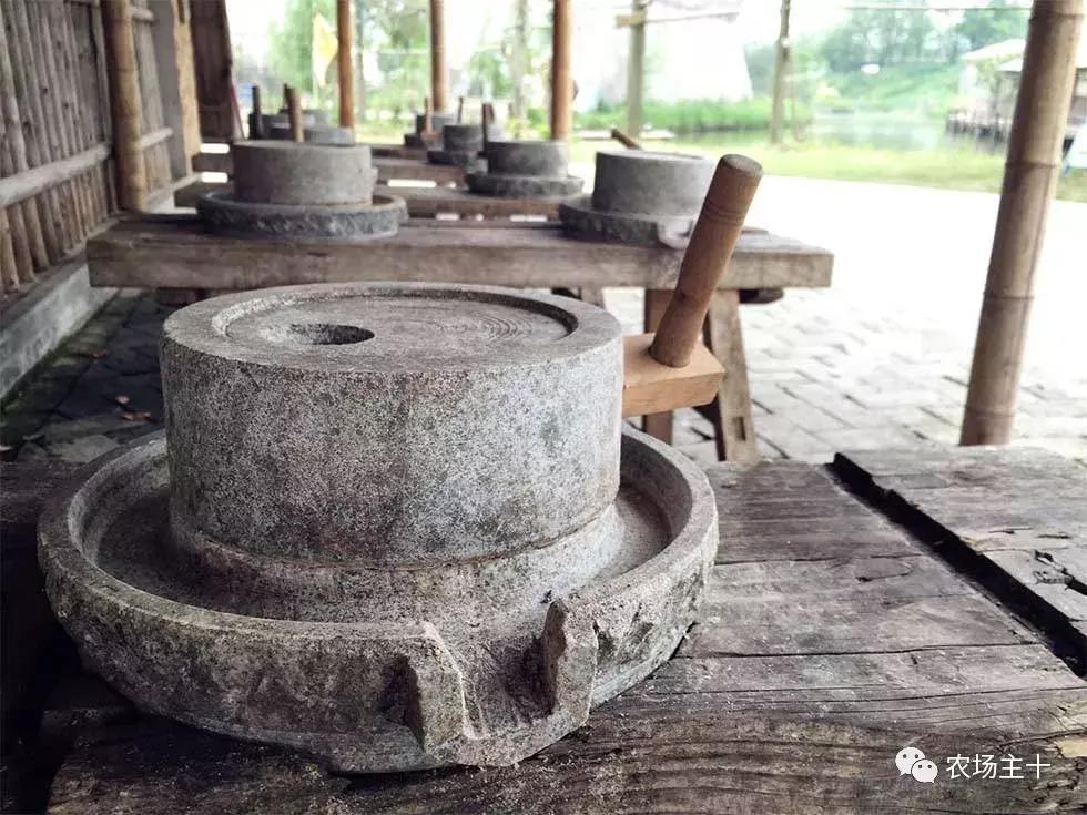 200亩，游客年超30万，这个用枯树建成的农庄牛在哪？