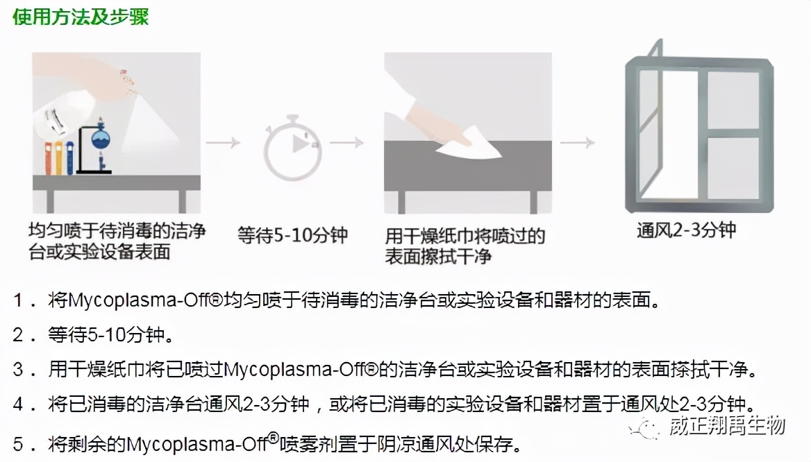 支原体污染怎么处理,支原体污染