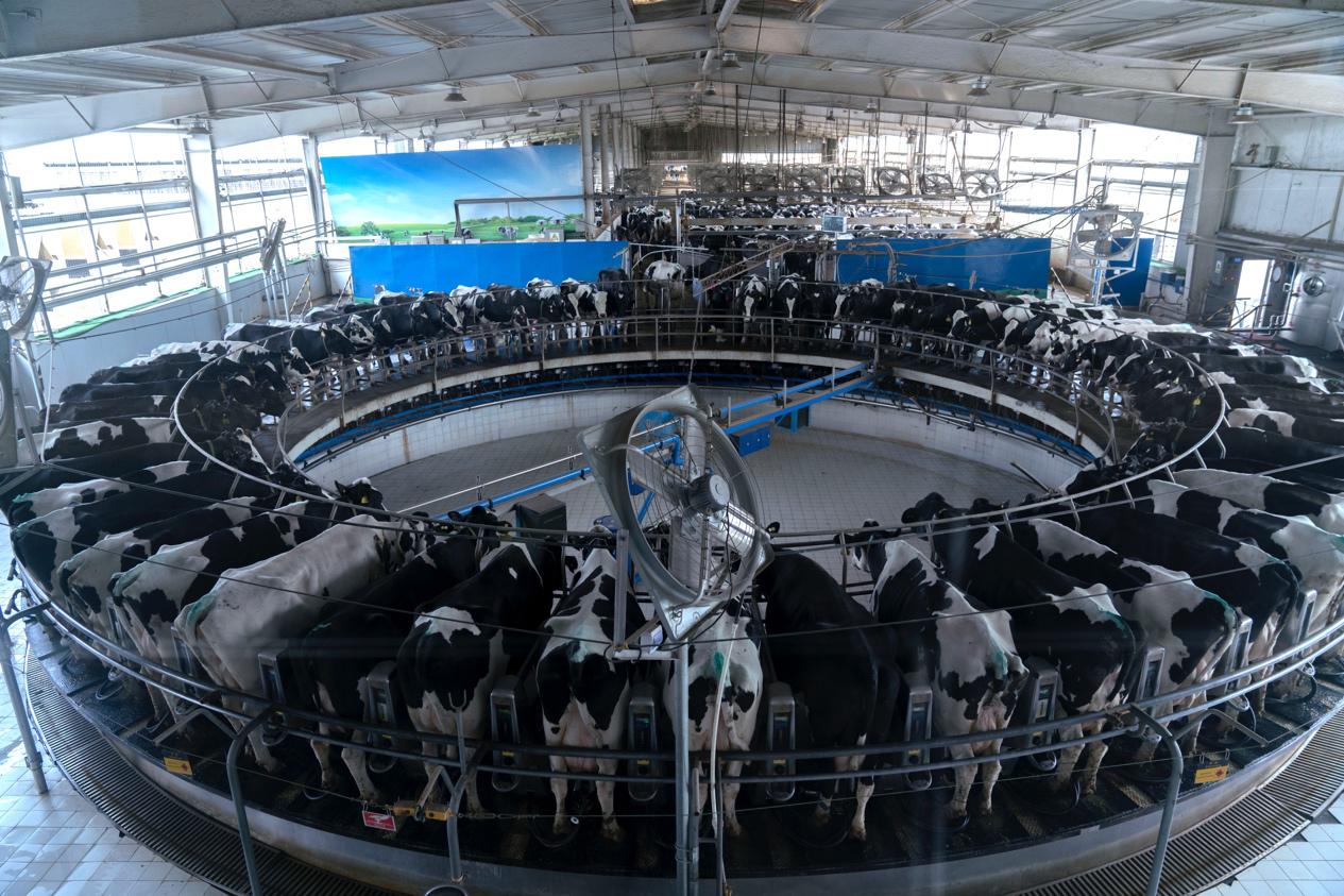 拼多多卖的澳洲奶粉是真的吗,抢奶粉活动