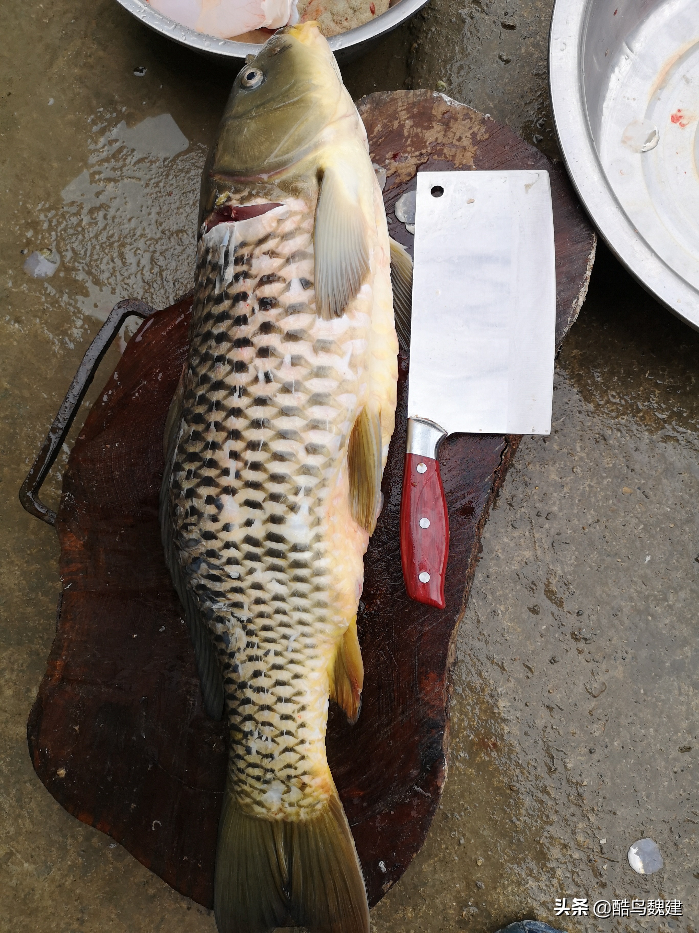 广东自驾游海边烧烤,广东有什么地方适合野外烧烤