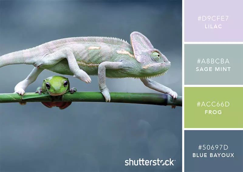 100个经典设计配色,设计师钟爱的9组高级感配色方案