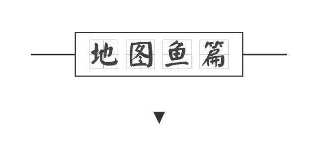 养地图鱼的正确方法,如何养好地图鱼