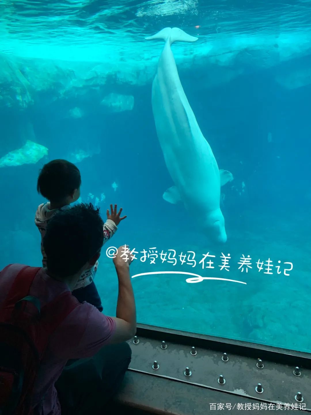 美国养宝宝花销多少钱,美国养孩子省钱吗