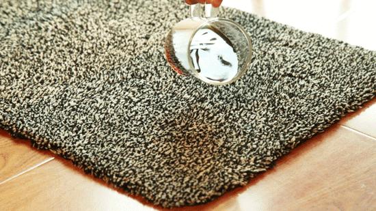 神奇的虎皮地毯,神奇宝贝的地毯