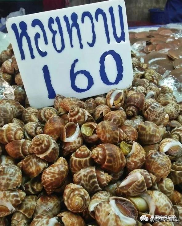 芭提雅海滩海鲜推荐,芭提雅lanpho海鲜市场