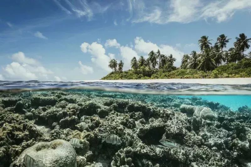 马尔代夫选岛攻略推荐,马尔代夫选岛