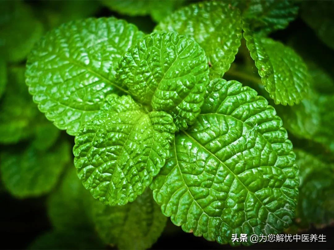 手麻睡眠不好可以吃乌鸡白凤丸吗,手指头发麻吃乌鸡白凤丸有效吗