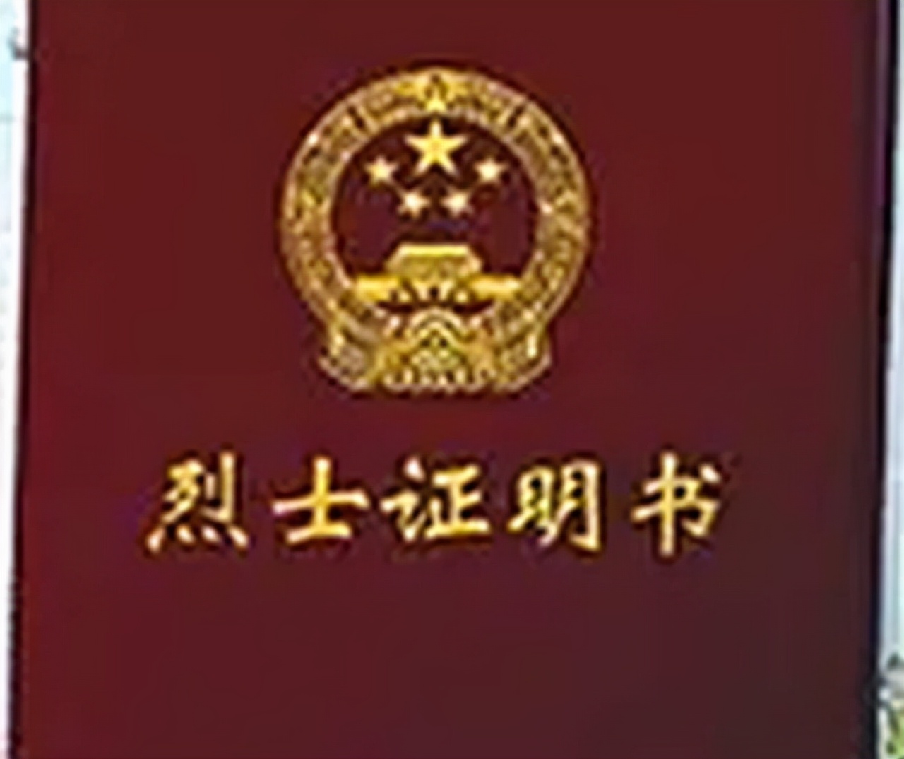 钟期光阔别30年回乡：磕头3次跪谢干父母救命之恩，奉上人参