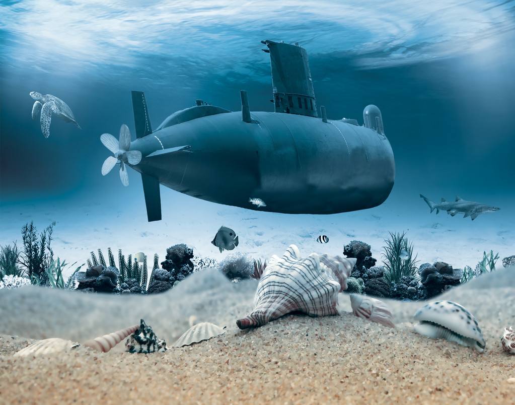 袁哲生写的寂寞的游戏,寂寞的游戏袁哲生英文版