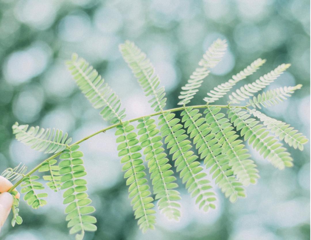 表达夏天热的诗句,古诗中描写天气很热的诗句