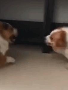 金融民工的快乐到底有多简单,金融民工的生活