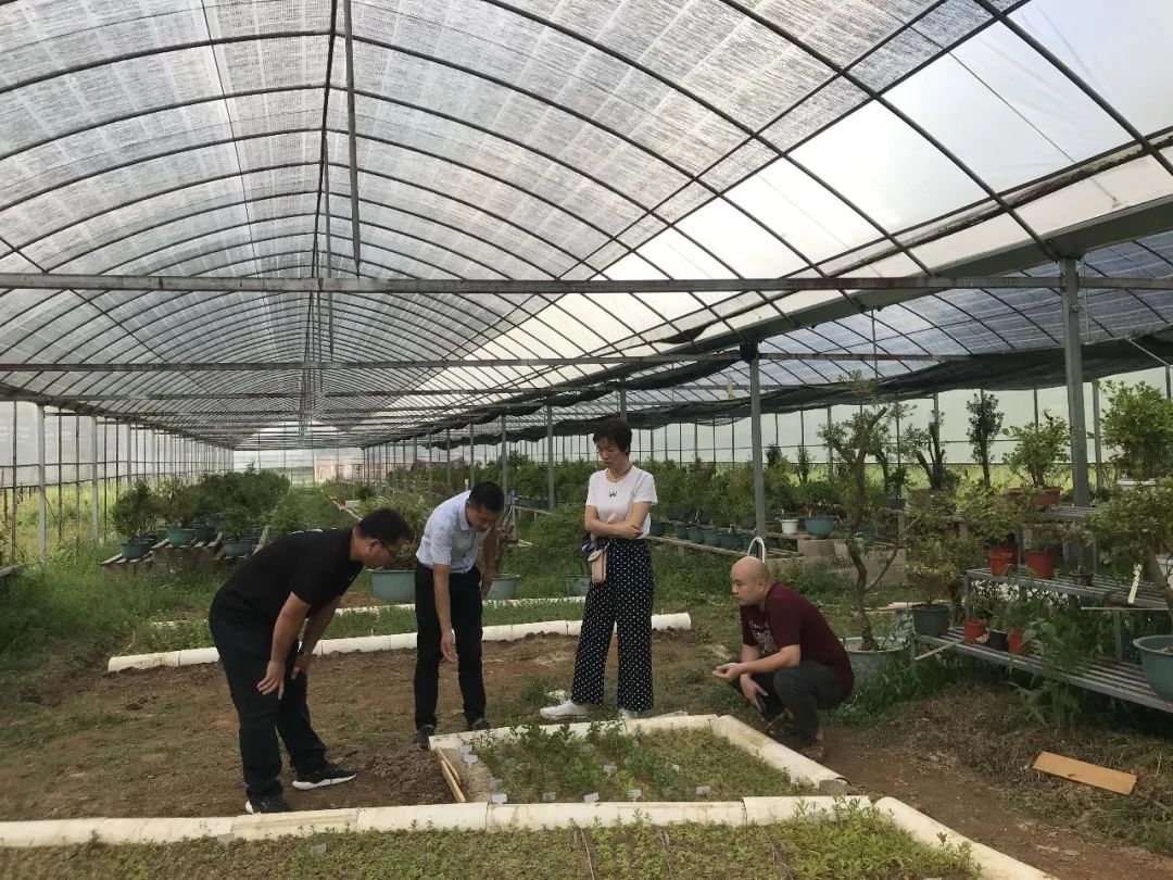 最新宁德市郭锡文公示,寿宁县委书记郭锡文