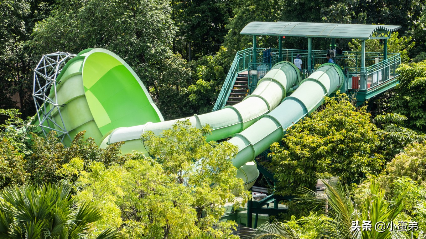 5年之许，小白逆袭重返新加坡