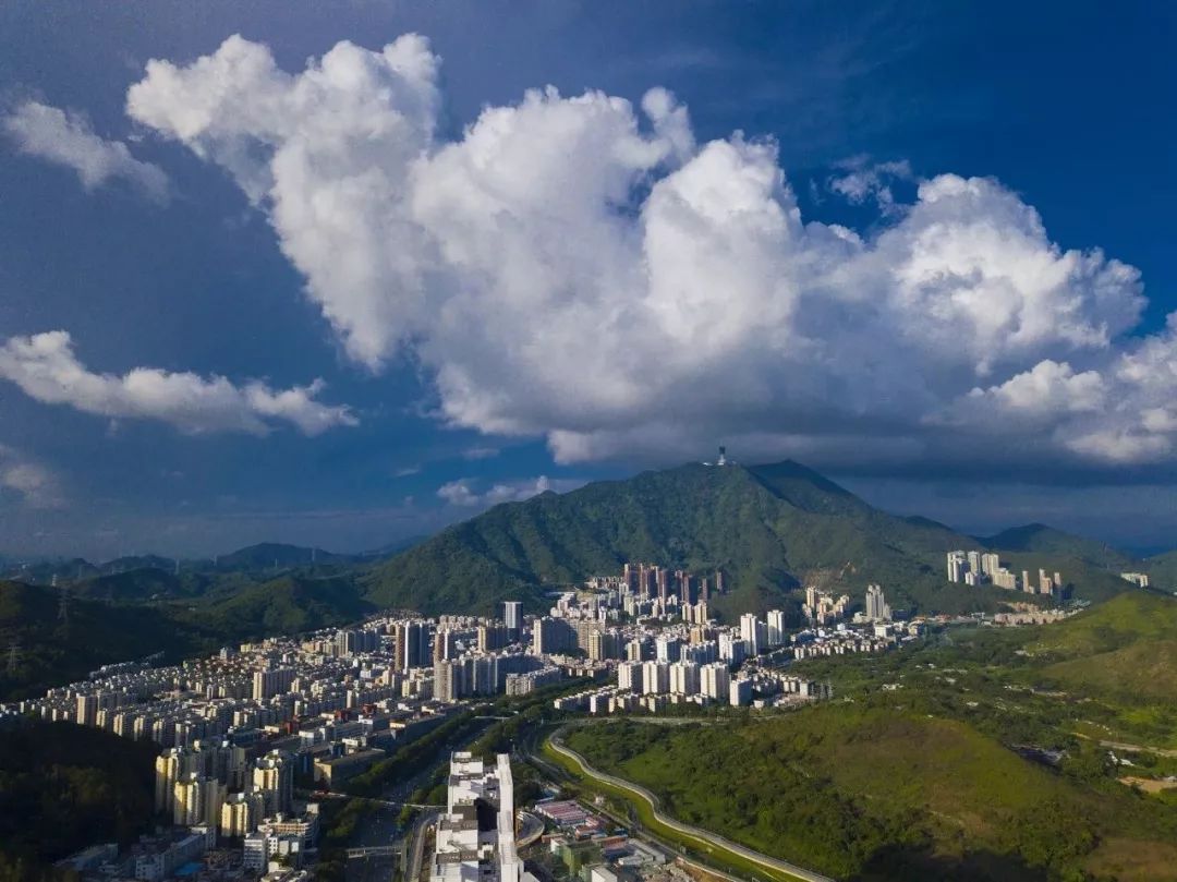 悦赏|这个展览，罗湖人不去看真的会后悔！