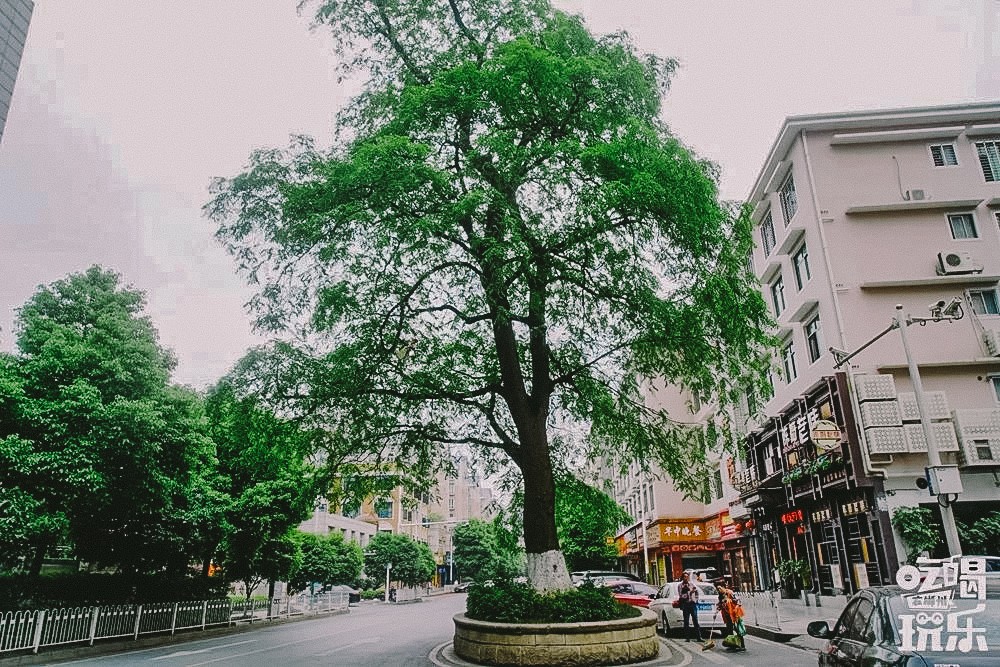 抱歉！论街道命名这件事，郴州还没输过谁