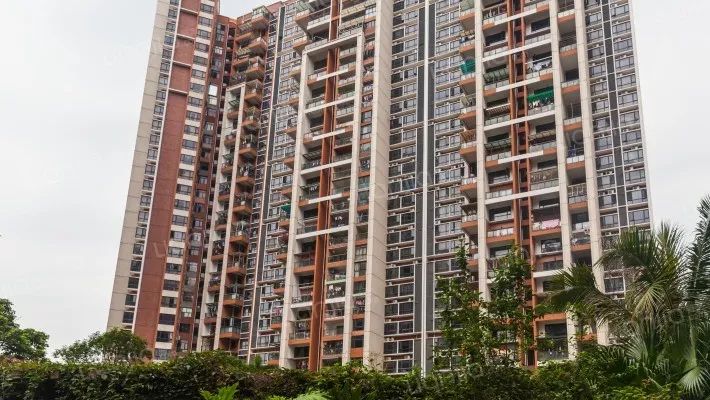 700w在南山区哪里买房,700w买三居