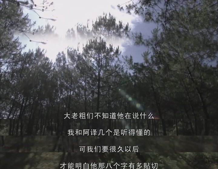 我的团长我的团第四集头像,我的团长我的团第四集艺人表