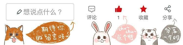 铲屎官对狗狗爱护,狗狗刚到家铲屎官关注事项