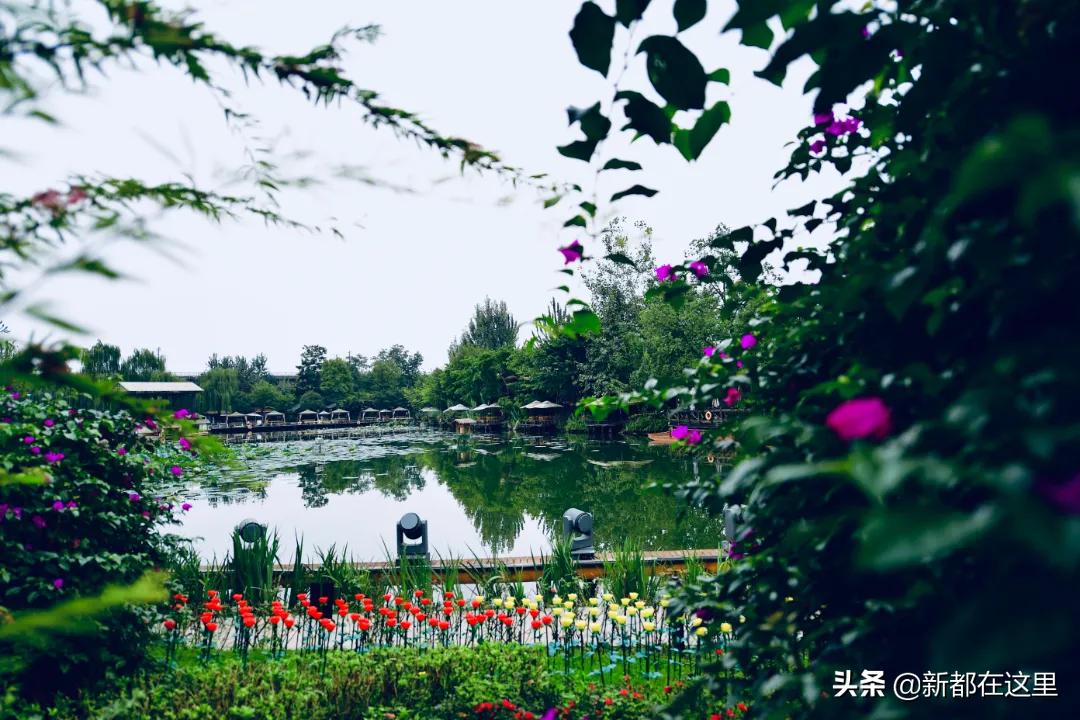 来成都新都公园走一走,新都才是最向往的生活