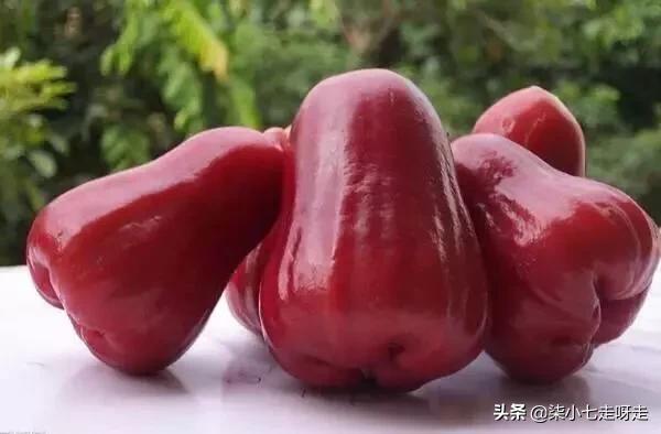 到马来西亚旅游，水果控一定不要错过这6种水果！