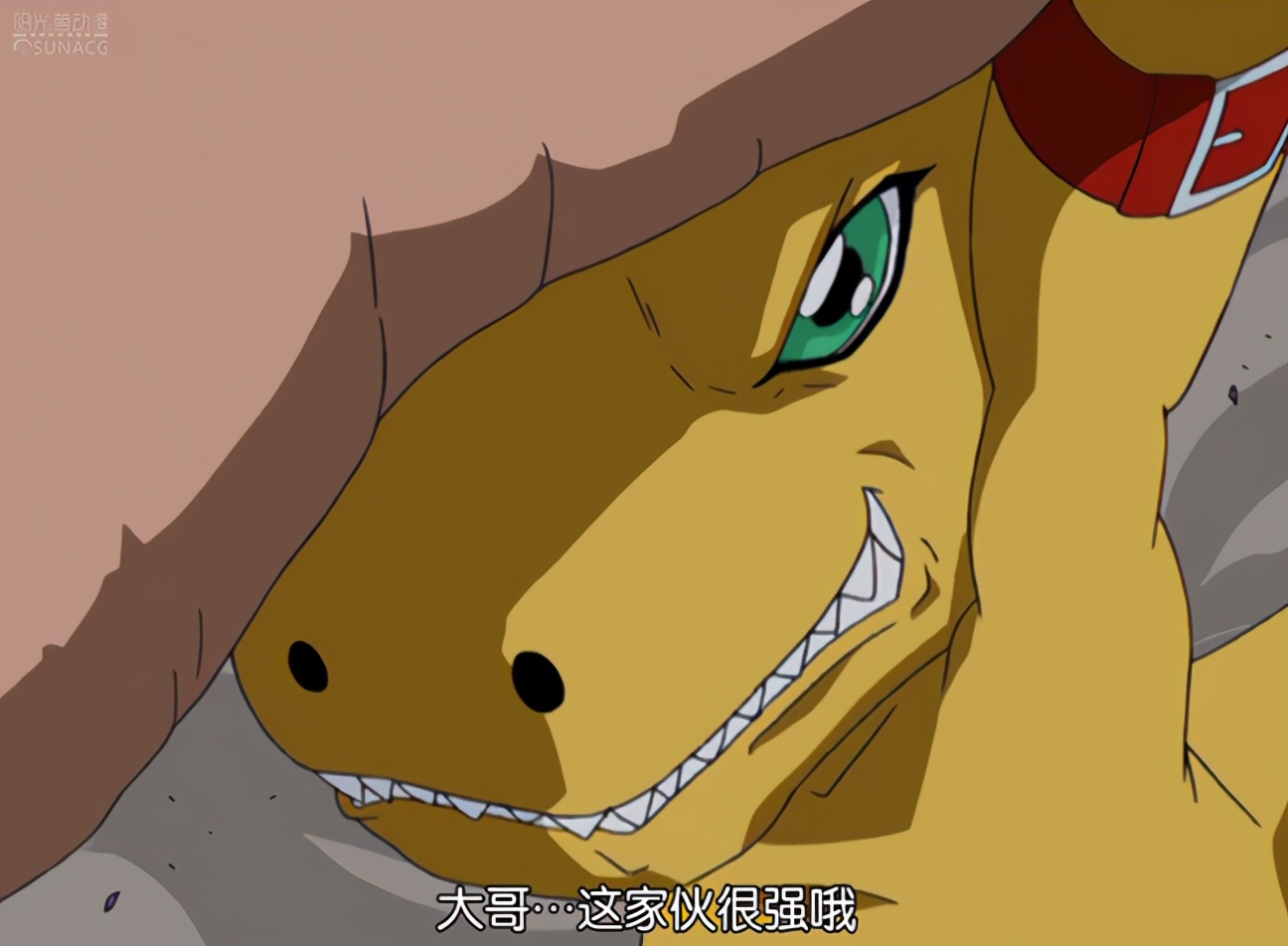 数码宝贝大门大宠物,数码宝贝十大究极体战力排行