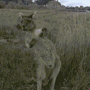 车门下面的塑料板裂了怎么修复,车门侧边裂了怎么修补